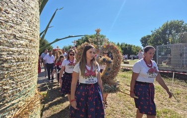 Dożynki Gminne - Świerk&oacute;w 2026 65