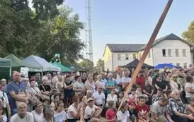 7baf02e9-eed3-4ec0-a482-72864aee6a46