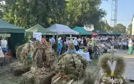 e8ac1a40-3203-49da-a6bd-9963cf3c5844