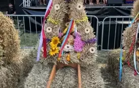 ad01a70d-61af-4cd1-80f2-d799fbb99de1