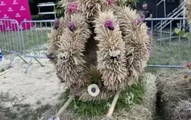 acb72556-72ec-4098-b6e5-1c44c3b9192d