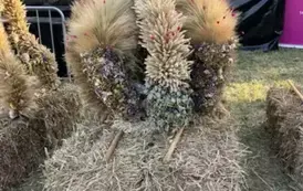 9a5f50b6-bbc2-4e2a-8620-ac49c553c1b3