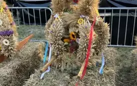 7dbfbf11-8660-48a1-b468-e96409a84405