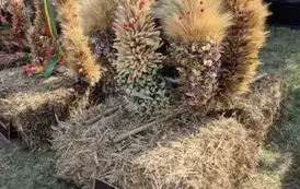 dcb4cbc3-e476-4d64-86f9-eee74b9a46ca