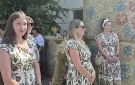 da491839-25e9-46c2-8716-8d27991133dc