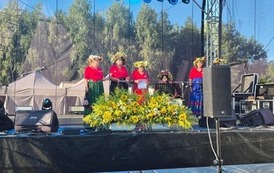 Dożynki Gminne - Świerk&oacute;w 2026 12
