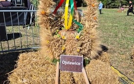 Dożynki Gminne - Świerk&oacute;w 2026 74