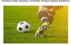Puchar Wójta