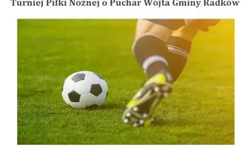 Puchar Wójta